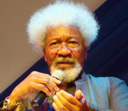 What Soyinka means to me, By Laolu Akande