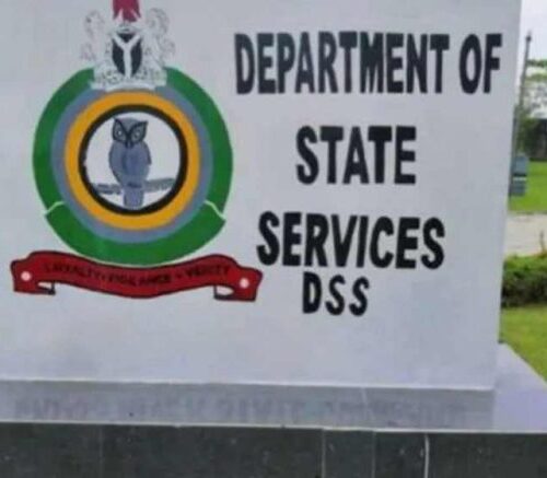 DSS Claims Planned Protests “Politically Motivated”