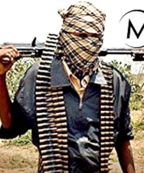 Many Districts In Borno Still Under Terrorists’ Control, Activist Alleges