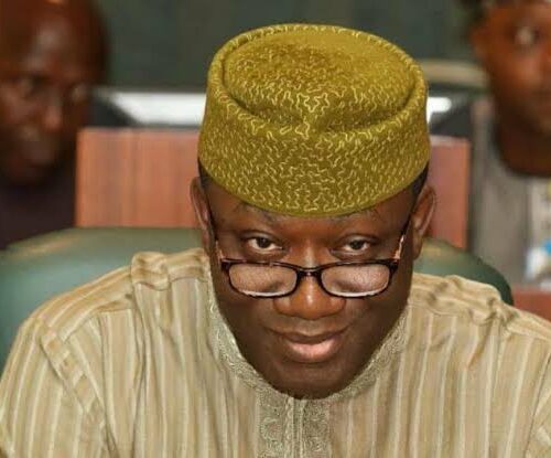 Sexual Harassment: Understanding My Link With Natasha -Fayemi